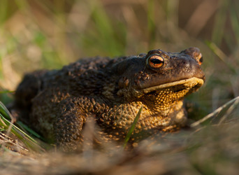 Similar image 632604