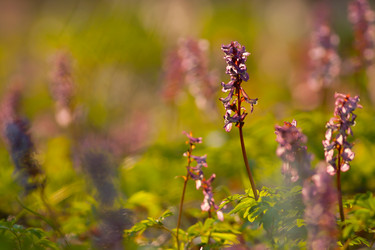 Similar image 632606