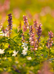 Similar image 632607