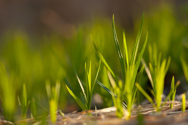 Similar image 632608