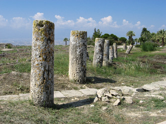 Similar image 632692