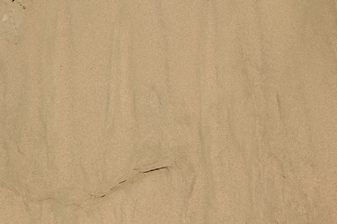 Similar image 632878