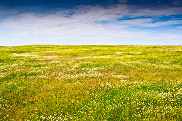 Similar image 632897