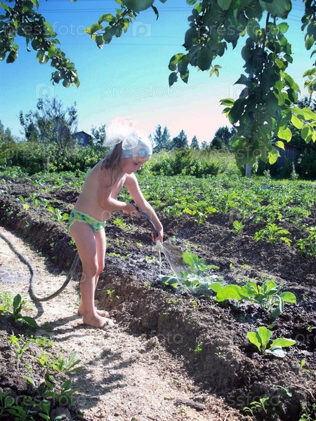 Фотография на тему Девочка поливает капусту на грядке
