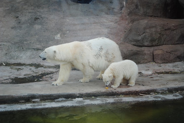 Similar image 632957