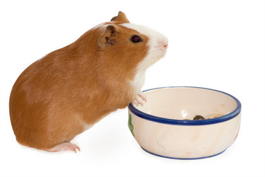 Similar image 632968