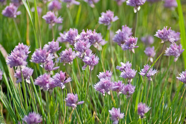 Similar image 632971