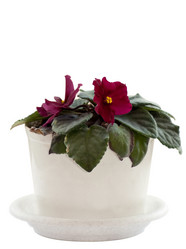 Similar image 632972