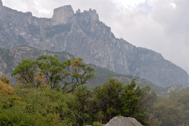 Similar image 632997