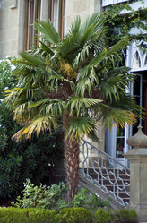 Similar image 633012