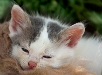 Similar image 633029