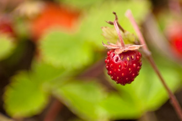 Similar image 633034