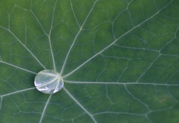 Similar image 633051