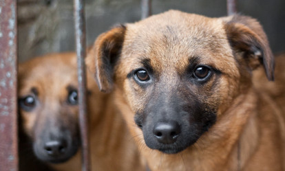 Similar image 633076