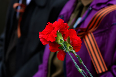 Similar image 633096