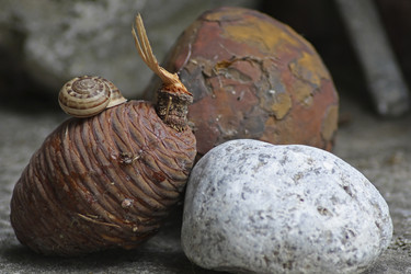 Similar image 633109