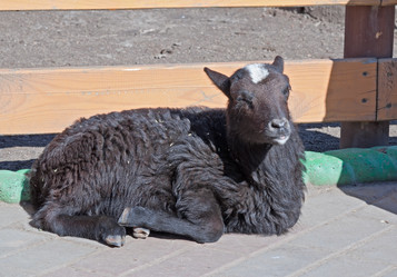 Similar image 633126