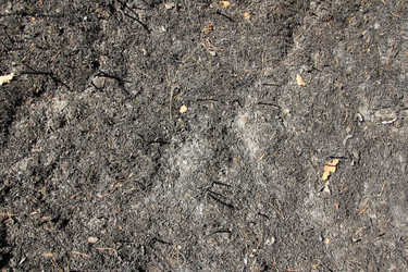 Similar image 633134