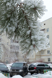 Similar image 633329