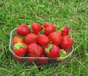 Similar image 633341