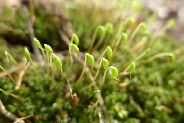 Similar image 633374