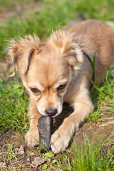 Similar image 633378