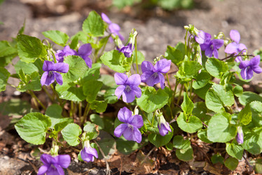 Similar image 633385