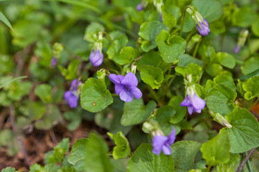 Similar image 633386