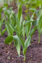 Similar image 633394