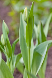 Similar image 633398