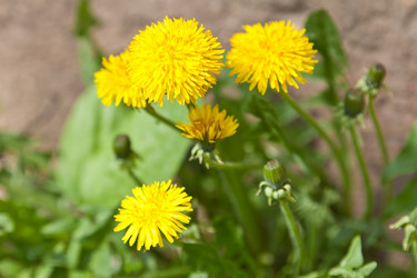 Similar image 633402