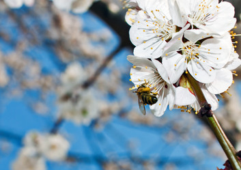 Similar image 633407