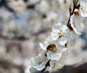 Similar image 633414