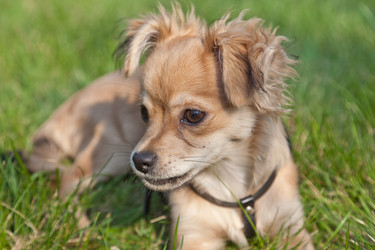 Similar image 633422