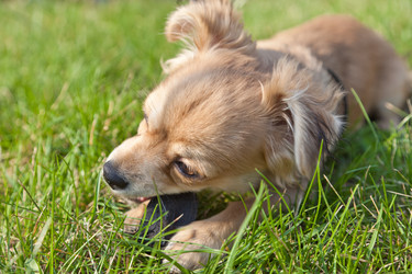 Similar image 633428