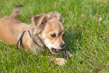 Similar image 633429