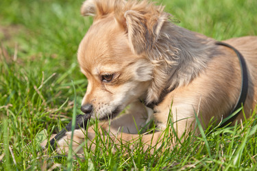 Similar image 633430