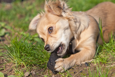 Similar image 633432