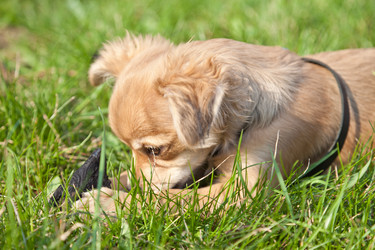 Similar image 633434