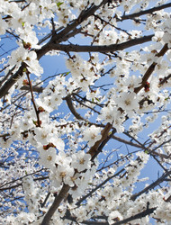 Similar image 633443