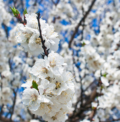 Similar image 633444