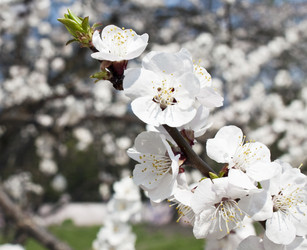 Similar image 633445