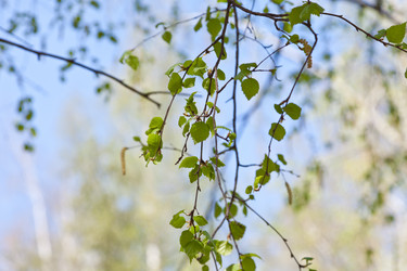 Similar image 633463