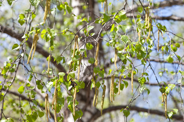 Similar image 633465