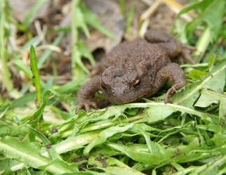 Similar image 633466