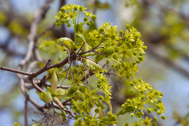 Similar image 633475