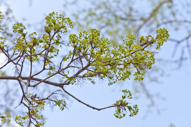 Similar image 633477