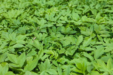 Similar image 633480