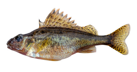 Similar image 633663