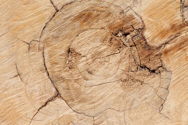 Similar image 633733